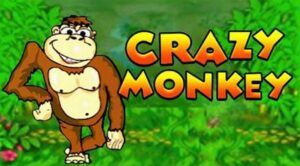 Crazy-Monkey