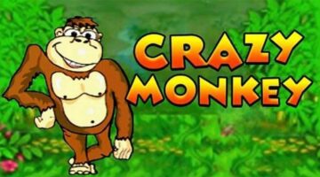 Crazy-Monkey
